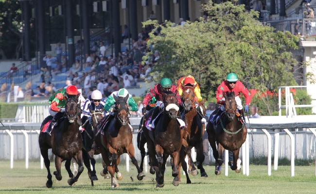 ALL’IPPODROMO SNAI SAN SIRO PRESERALE DEL VENERDÌ CON IL PREMIO BERSAGLIO IN ATTESA DELLA SUPER DOMENICA CON I PRIMI PASSI IL VITTADINI E IL GP DI MILANO