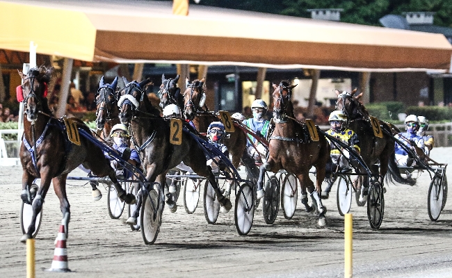 Ippica: Ouverture all'ippodromo di Cesena venerdì 21 giugno con il Premio Bronchi Combustibili