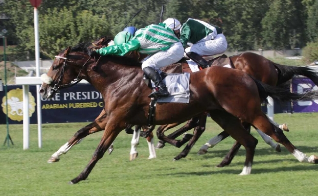 Ippica: all’Ippodromo Snai San Siro domani sarà l’ultima giornata di galoppo prima della pausa estiva. In pista le due listed per il Premio De Montel e per il Premio Mantovani