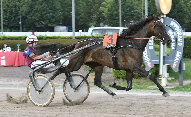 Ippica: il mercoledì all'Ippodromo Snai Sesana apre il mese di luglio e regala a Bat Host il Premio Baket Cross ma la 'copertina' della serata se la guadagna Di Nardo con un poker