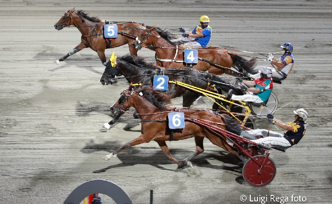 Ippica ippodromo Cesena Trotto: resoconto delle corse di sabato 6 luglio 2024