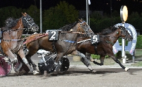 All’Ippodromo Snai Sesana mercoledì sera con protagonista Alessandro Gocciadoro: tre successi tra cui il Premio Quattrocar Audi con Face Time Dvs. Ora testa a sabato con il GP Nello Bellei