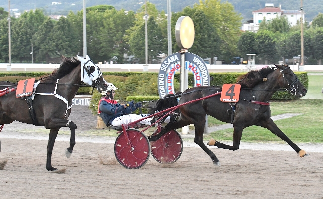 Il Gran Premio Nello Bellei 2024 è di Enock con Enrico Bellei in Sulky nel sabato sera di trotto e di festa all'Ippodromo Snai Sesana