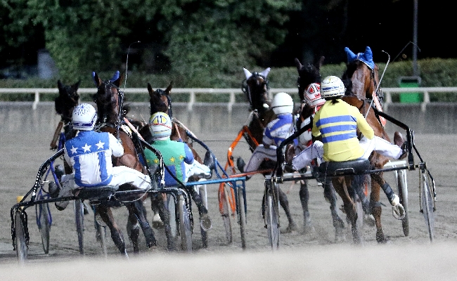 Ippica Ippodromo Cesena Trotto: presentazione corse di martedì 16 luglio 2024