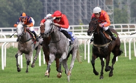 VENERDÌ SERA L’IPPODROMO SNAI SAN SIRO OSPITA LA GIORNATA DI GALOPPO DELLE BETTOLE DI VARESE CON SEI PROVE. IN PISTA DALLE ORE 20:15