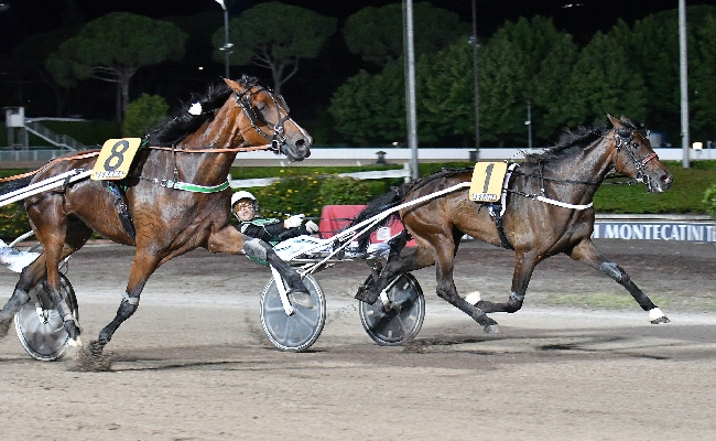 Ippica: a Montecatini cavalli in pista per il Gran Premio Baldi. In dieci al via dietro le ali dell’autostart. Frankie Lj favorito ma non troppo a 3 25 su Betflag