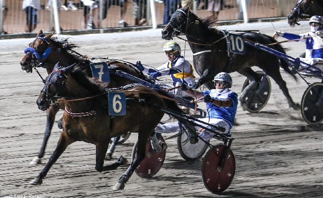 Ippica Ippodromo Cesena Trotto: presentazione delle corse di martedì 23 luglio in programma seconda semifinale del Tomaso Grassi Award 2024