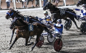 Ippica Ippodromo Cesena Trotto: presentazione delle corse di martedì 23 luglio in programma seconda semifinale del Tomaso Grassi Award 2024