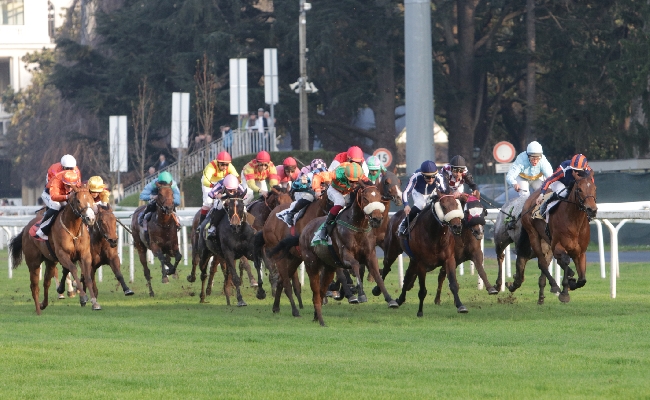 Ippica: domenica di festa sullo Jonio con due gran premi su Betflag