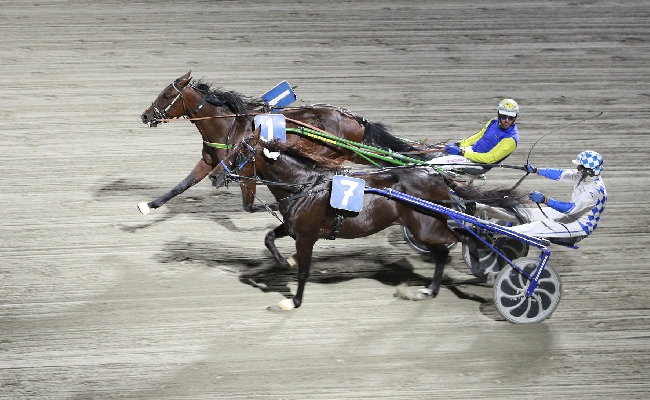 Ippica Ippodromo Cesena Trotto: il resoconto delle corse di sabato 27 luglio