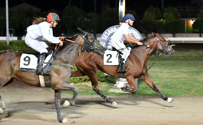 All'Ippodromo Snai Sesana la prima di agosto per un super sabato con le pariglie e il Trotto Montato. Si entra nel clou della stagione a Montecatini Terme in attesa di ferragosto con il GP di Gruppo I