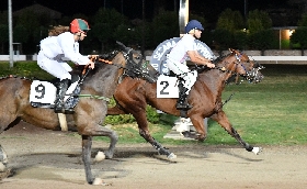 All'Ippodromo Snai Sesana la prima di agosto per un super sabato con le pariglie e il Trotto Montato. Si entra nel clou della stagione a Montecatini Terme in attesa di ferragosto con il GP di Gruppo I