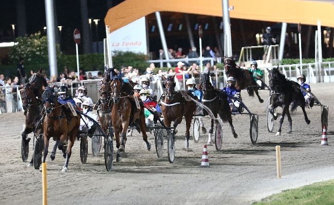  ippodromo cesena trotto: presentazione delle corse di lunedì 5 agosto 2024