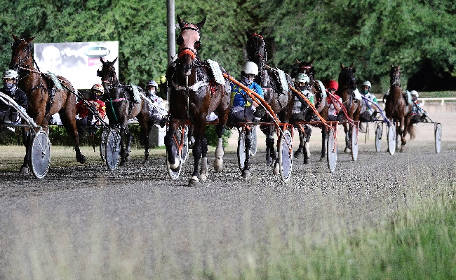 Ippica Ippodromo Cesena Trotto: presentazione corse di martedì 6 agosto 2024