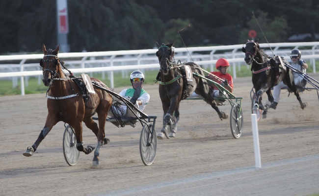 Giovedì sera all'Ippodromo Snai San Siro con la 24^ giornata di trotto a partire dalle ore 20.25. Sette corse con clou il Premio Eril BS