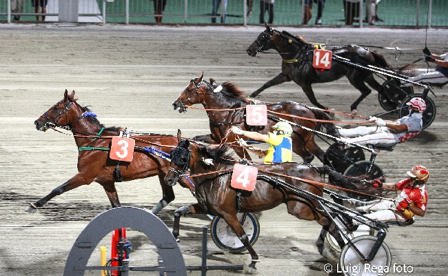 Ippica Ippodromo Cesena Trotto: Premio Gelati Algida resoconto corse del 5 agosto 2024