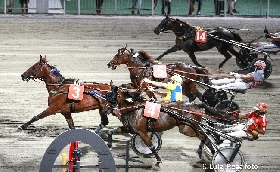 ippodromo cesena: presentazione di lunedì 12 agosto 2024 e resoconto del Gran Premio Calzolari