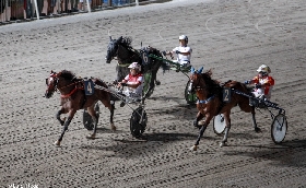 Ippica Ippodromo Cesena Trotto: presentazione corse di sabato 17 agosto 2024