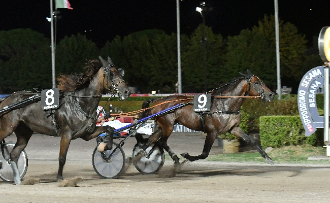 Ippica il sabato post Ferragosto all'Ippodromo Snai Sesana conferma la vena vincente di Goldie Home nel clou della serata per il Premio Sari del Rosso 