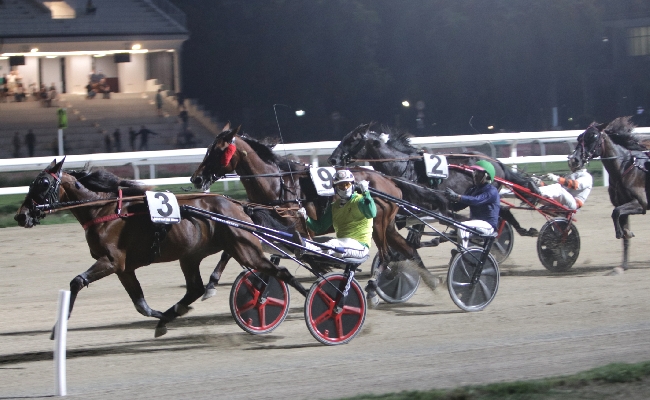 Ippica: all’Ippodromo Snai San Siro il giovedì sera di trotto dedicato alla Scuderia Pink And Black conferma Frankie LJ in grande forma in vista del ‘Gran Premio Carlo Maragoni’