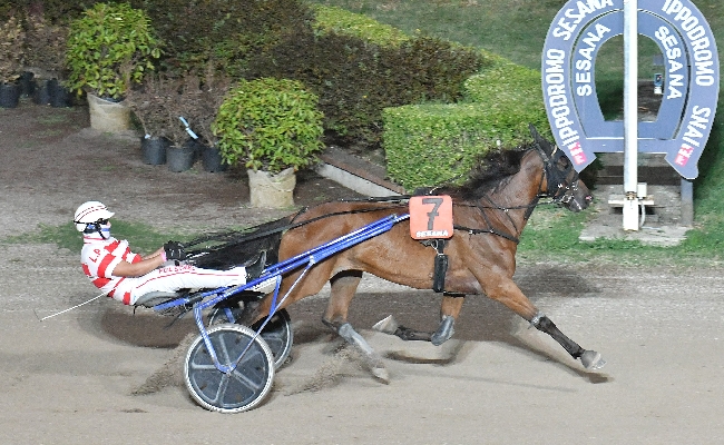 Ippica esordio vincente per Gaby Wise As nel bel mercoledì sera all'Ippodromo Snai Sesana davanti a circa mille spettatori