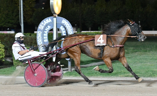 Ippica all'Ippodromo Snai Sesana il mercoledì è tutto di Goldwin Cr che vince il Premio Centro Ippico La Pieve la prova Maiden per i puledri. Sabato 7 la prossima riunione con il concerto in onore di Battisti e Mogol