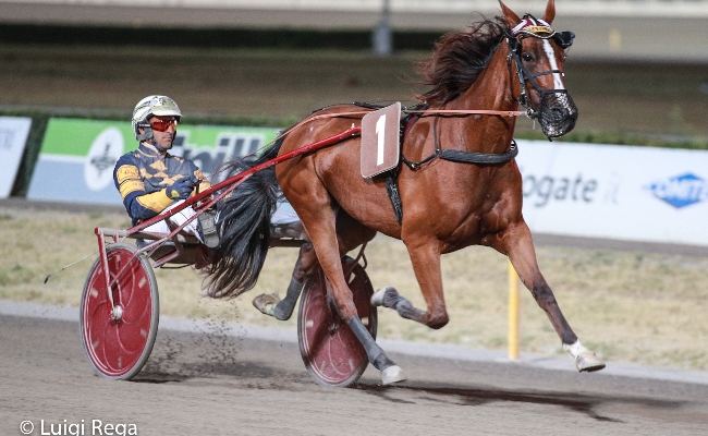 Ippica Ippodromo Cesena: Campionato Europeo di Trotto Orogel 2024