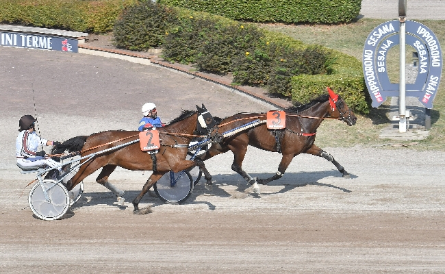 Ippica: domenica all’Ippodromo Snai Sesana giornata di trotto al via dalle ore 17. Apertura anticipata alle 14:30 per poter assistere sugli schermi alle partite di serie A e alle corse degli altri ippodromi