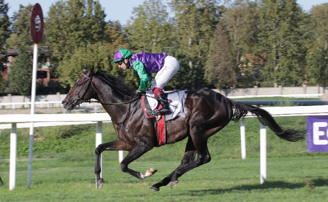 Ippica: all’Ippodromo Snai San Siro mercoledì con una nuova riunione di Galoppo a partire dalle ore 14:45. Brilla il premio dedicato a ‘Nico e Vittorio Castellini’