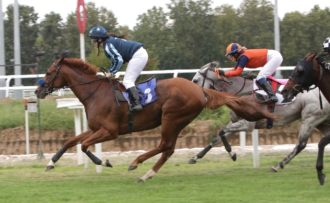 SOME RESPECT VINCE IL PREMIO NICO E VITTORIO CASTELLINI NEL BEL MERCOLEDÌ DI GALOPPO ALL’IPPODROMO SNAI SAN SIRO