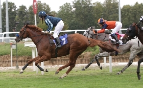 SOME RESPECT VINCE IL PREMIO NICO E VITTORIO CASTELLINI NEL BEL MERCOLEDÌ DI GALOPPO ALL’IPPODROMO SNAI SAN SIRO