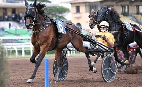 Ippica Ippodromo Capannelle: sabato 21 batterie del Derby Italiano del Trotto e delle Oaks