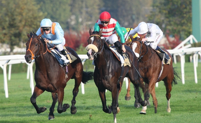 il mercoledì di galoppo all’ippodromo snai san siro premia sopran pechino che vince il premio riccardo zanocchio