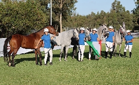 Equitazione Endurance: doppio bronzo per l’Italia ad Arborea