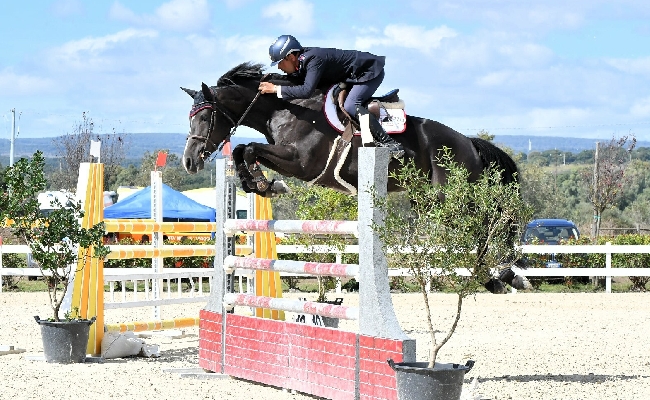 Equitazione salto ostacoli: 256 binomi hanno gareggiato a Tanca Regia per la semifinale del Trofeo dei Nuraghi