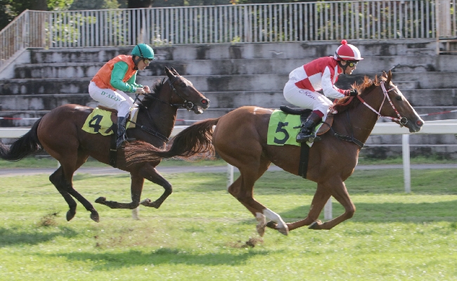 Ippica nel mercoledì di galoppo all'Ippodromo Snai San Siro Piazzadram si aggiudica il Premio Dormelletto. Venerdì di nuovo in pista e domenica ci sono il Verziere e il Cumani