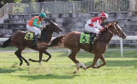 Ippica nel mercoledì di galoppo all'Ippodromo Snai San Siro Piazzadram si aggiudica il Premio Dormelletto. Venerdì di nuovo in pista e domenica ci sono il Verziere e il Cumani