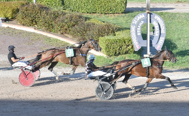 Ippica: all'ippodromo Snai Sesana sabato di trotto con un mix di passione divertimento e di solidarietà per Giulia