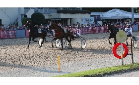 Ippica all’Ippodromo di Bologna domenica 6 ottobre con le migliori guide del panorama nazionale