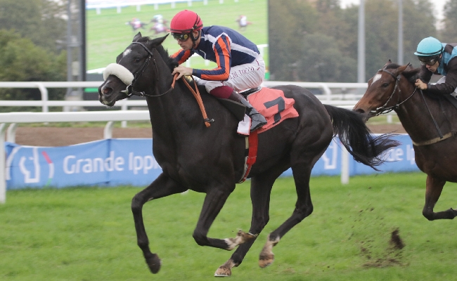 Ippica all'Ippodromo Snai San Siro mercoledì di galoppo su una pista pesante con Gray Chance che vince la Maiden per lo Schiapparelli e Shesolucky che fa sua la prima nursery della stagione a Milano