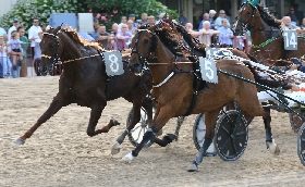 Ippica giovedì 17 ottobre all’Ippodromo di Bologna otto corse e finale con Tris