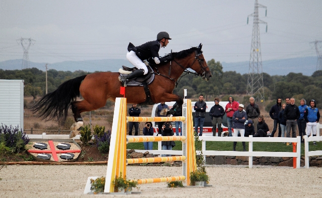 Salto ostacoli: 250 iscritti al Sardegna Jumping Tour e finale del Trofeo dei Nuraghi di Tanca Regia con 151 mila euro di montepremi