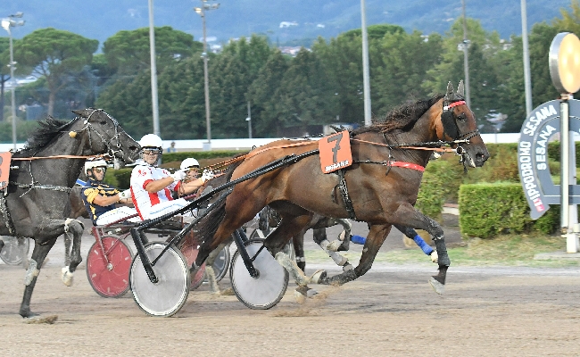 ALL’IPPODROMO SNAI SESANA SABATO CON SETTE CORSE DI TROTTO E L’ANIMAZIONE E L’INTRATTENIMENTO PER IL PUBBLICO. CANCELLI APERTI DALLE ORE 15 CAVALLI IN PISTA DALLE 17