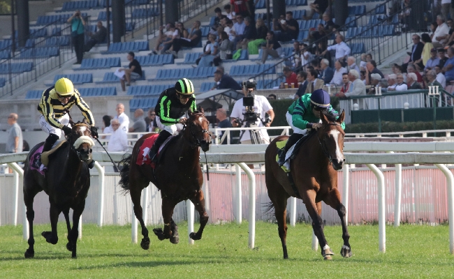  sabato e domenica all’ippodromo snai san siro con le corse di trotto e di galoppo da non perdere! sul nuovo circuito la giornata riservata ai gentlemen driver nazionali