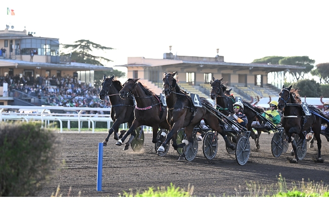 Ippica sabato 19 ottobre torna il trotto all’Ippodromo Capannelle. Domenica 27 grande attesa per il Roma Champions Day di galoppo