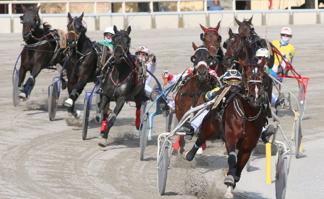 Ippica domenica 20 ottobre otto corse all’Ippodromo di Bologna