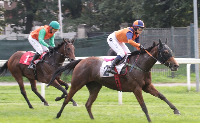 DOMENICA DI GRANDE GALOPPO ALL’IPPODROMO SNAI SAN SIRO CON IL GRAN CRITERIUM E IL PREMIO DORMELLO