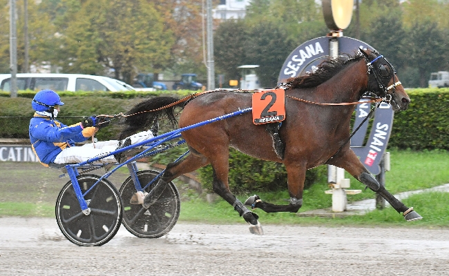 Ippica all'Ippodromo Snai Sesana la pioggia del sabato non ferma Garonne Q Grif che vince il centrale per il Premio Tequila Fi