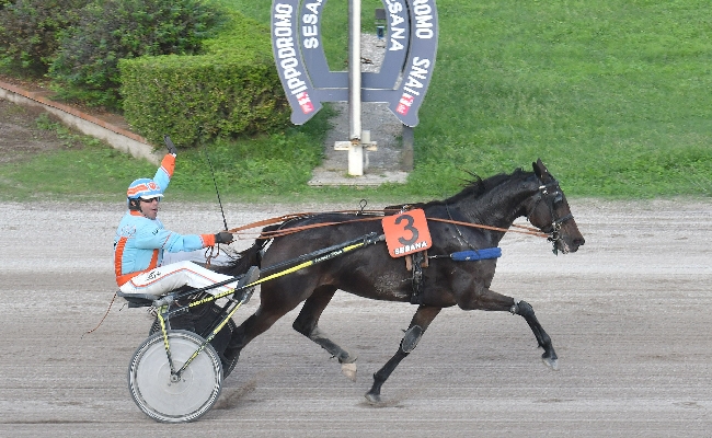 Ippica nel penultimo atto della stagione all'Ippodromo Snai Sesana brilla Gemmakiara Wind nel Premio Davide Baldi e Benur Risaia Trgf sorprende tutti nel Trofeo Denis Coku