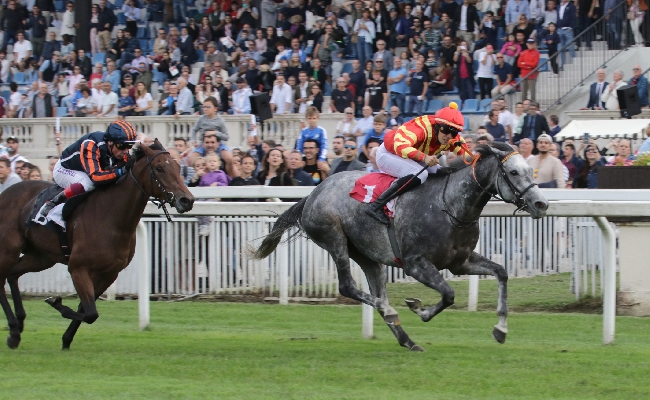 Ippica all'Ippodromo Snai San Siro mercoledì con sei corse valide per la 46^ giornata di galoppo a partire dalle ore 15.05